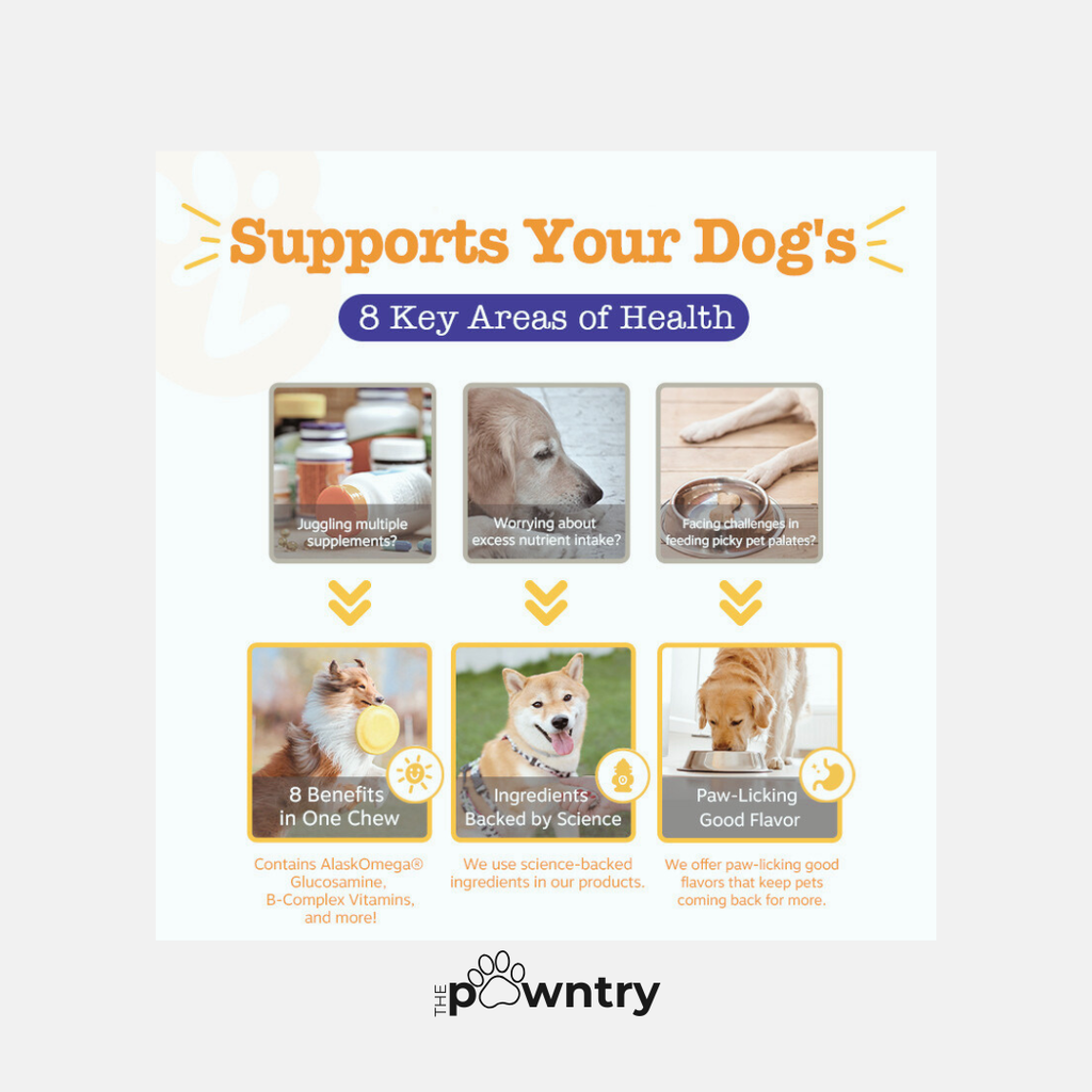 [PRE-ORDER] Zesty Paws 8-in-1 Multifunctional Bites | Peanut Butter Flavor