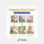 [PRE-ORDER] Zesty Paws 8-in-1 Multifunctional Bites | Peanut Butter Flavor