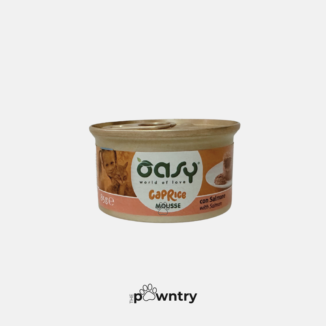 Oasy Caprice Mousse | Can 85g