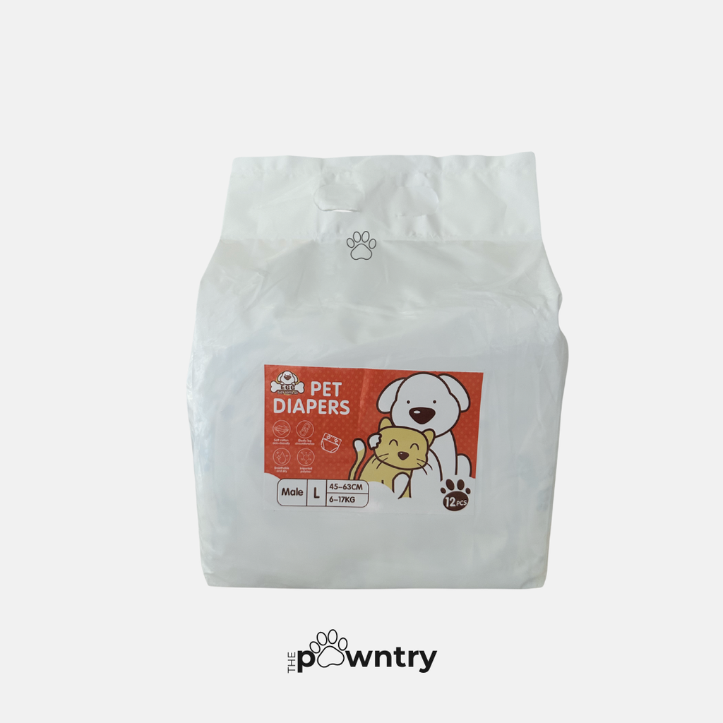 Male Dog Diaper