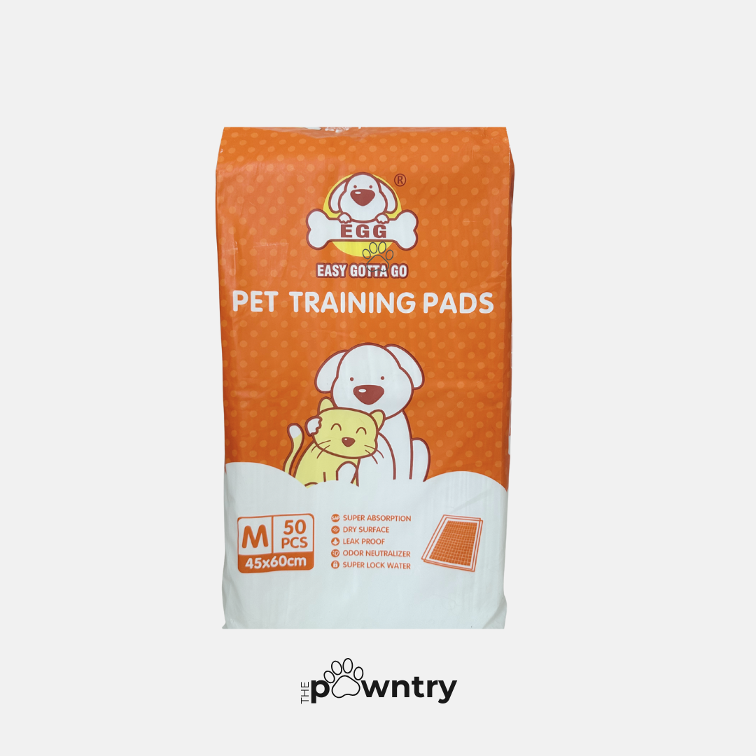Training Pad | 1 Piece